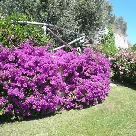 In Mit Grossem Garten * פינאלה ליגורה